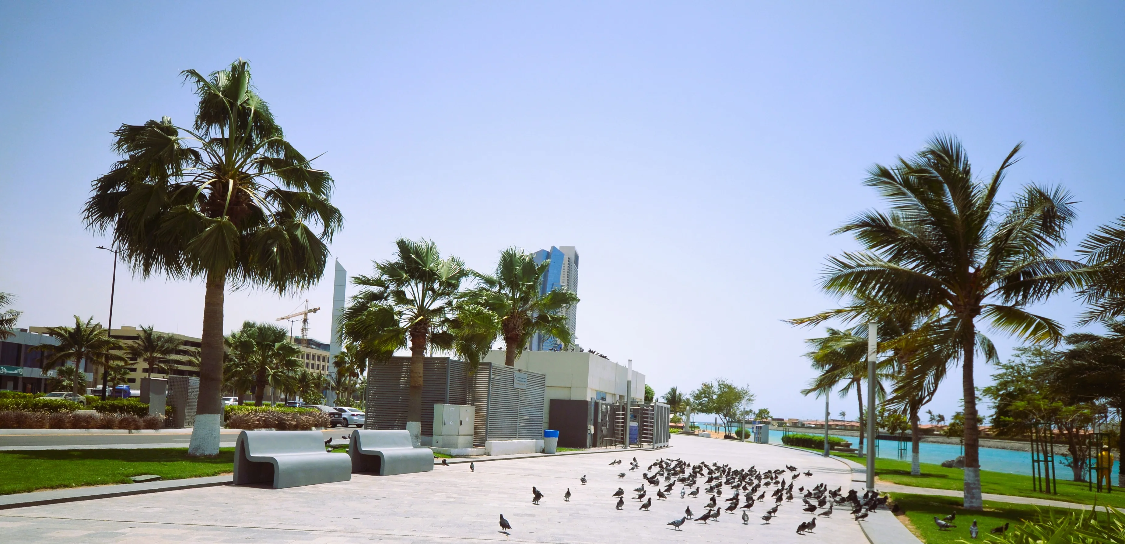 DNC project work in Jeddah