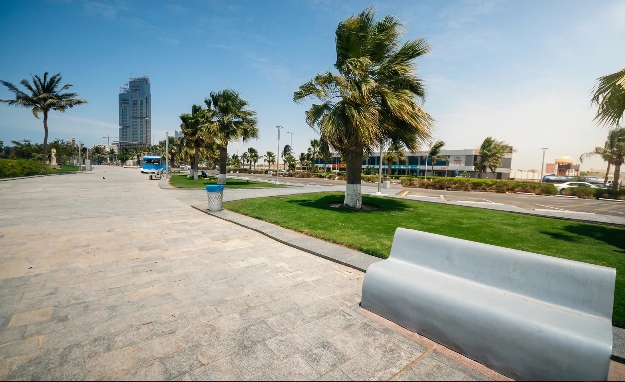 DNC project work in Jeddah