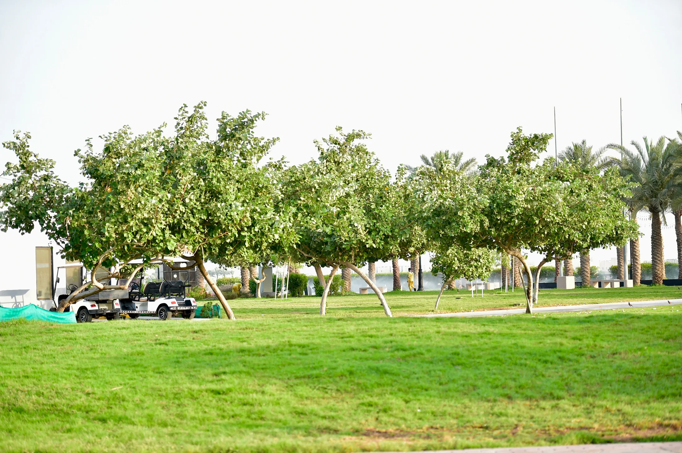 Landscaped waterfront spaces for everyday community life